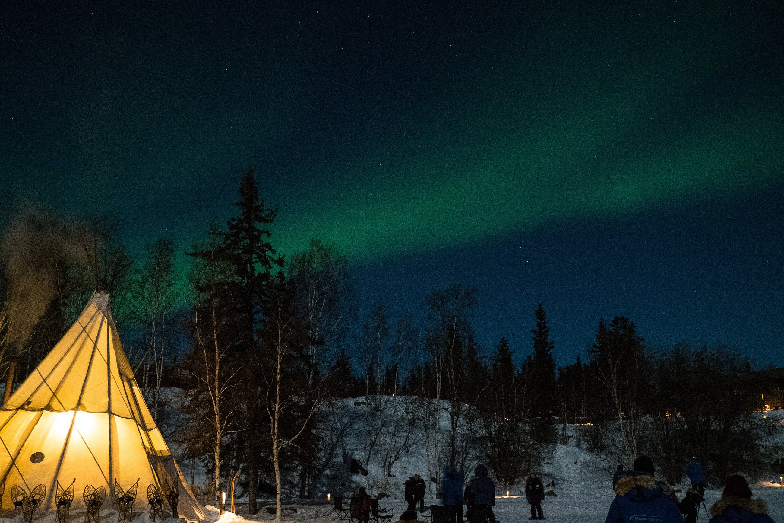 Green northern lights over a lit tent and spruce trees near Yellowknife