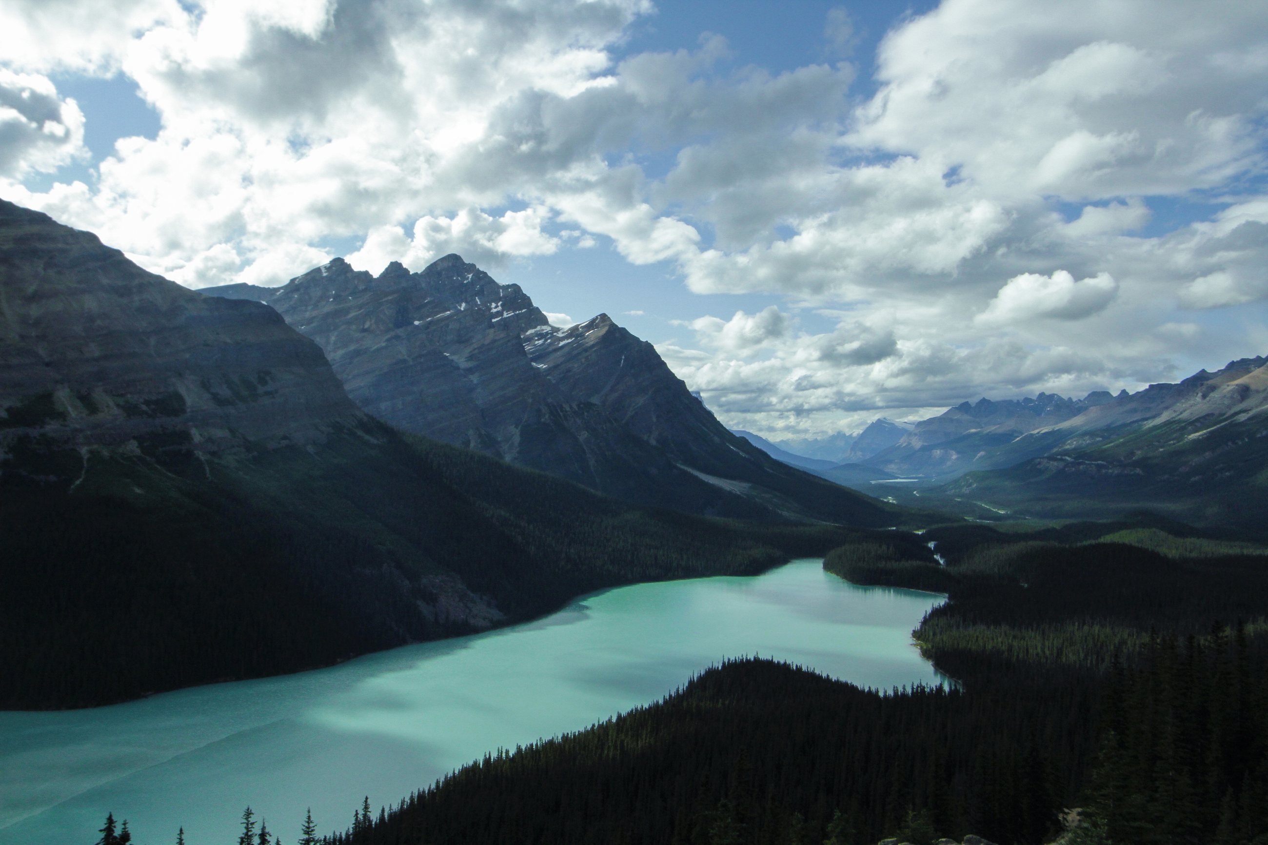 The turquoise Peyto Lake between forested mountains in Banff National Park